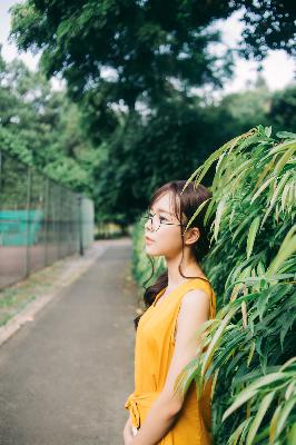 我女朋友的妈妈 热度评分