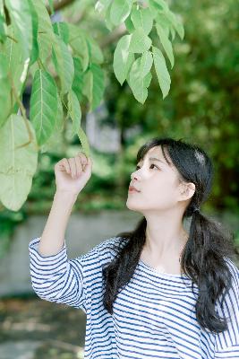 丁香花电影高清在线小说阅读,丁香花在线电影电视剧