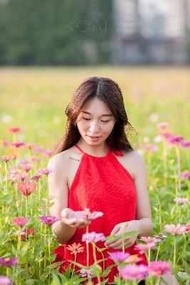 暴躁大妈荒野大镖客