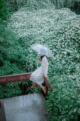 天天干天天日