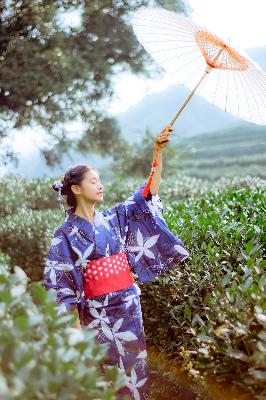 少女在线观看高清完整版免费动漫